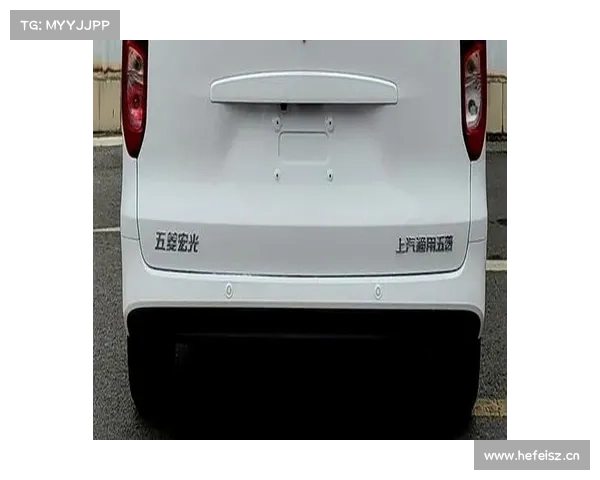 “神车”也变俊俏了!五菱宏光燃油版申报图曝光 “神车”也变俊俏了!五菱宏光燃油版申报图曝光